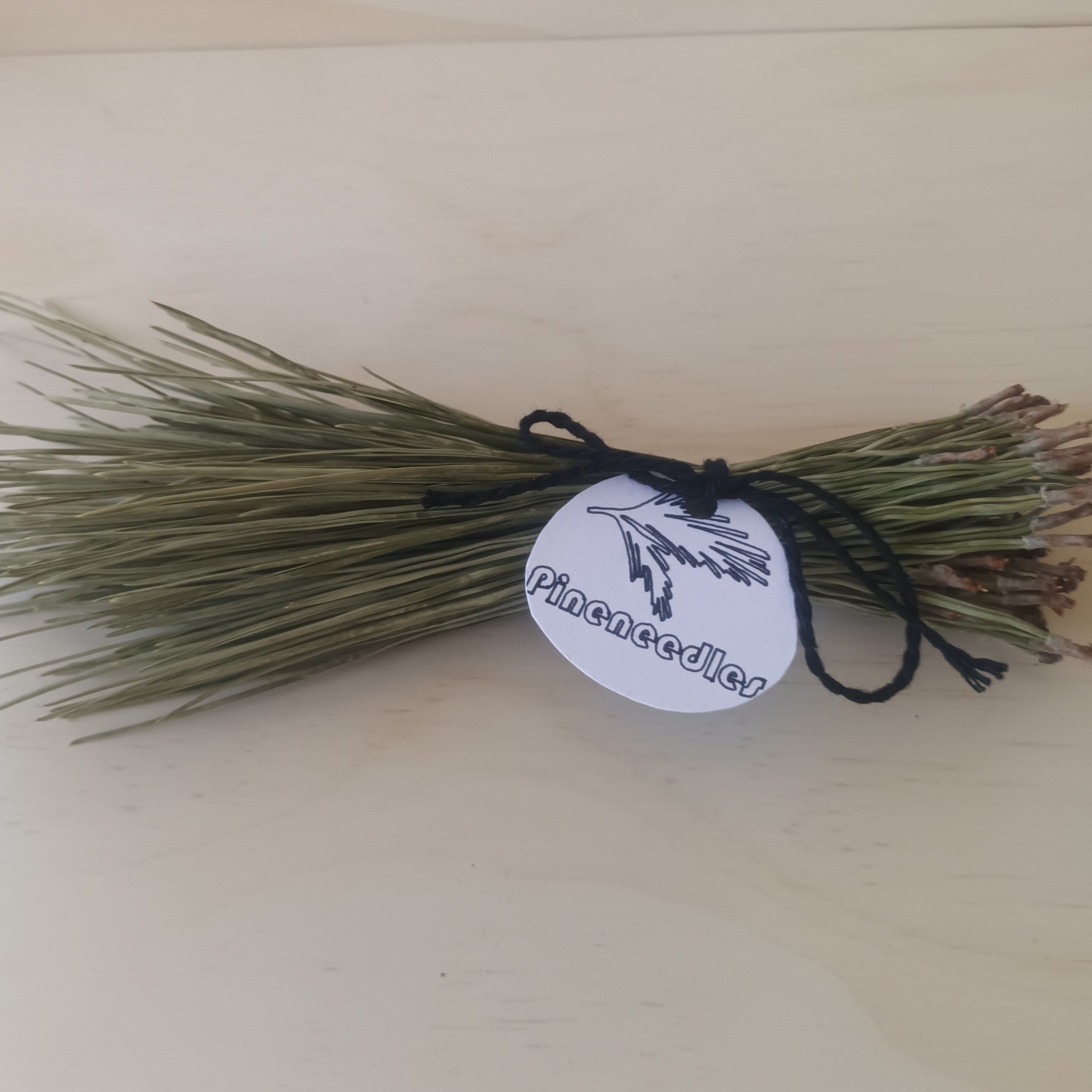 Pine Needles – Creative Little Kiwis